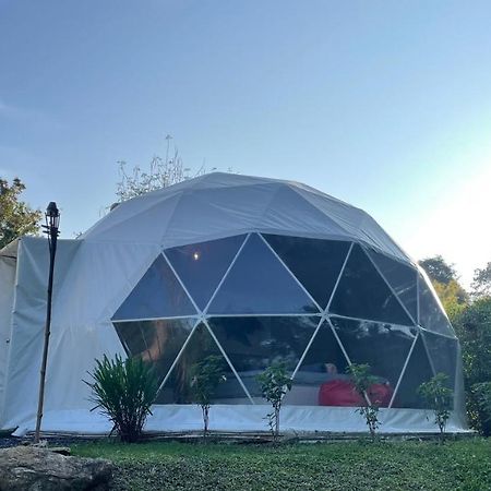 فيلا Panipa Organic Farm And Glamping Pak Chong المظهر الخارجي الصورة